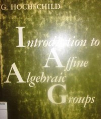 Introduction to Affine Algebraic Groups